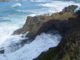 Photo Number 54